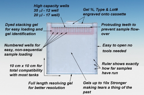 Sds+page+gel+storage