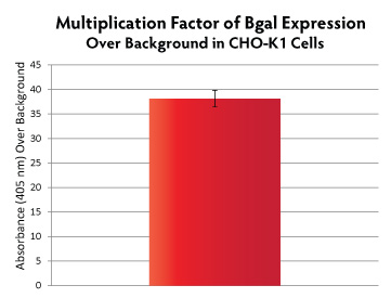 multiplication-factor-of-bgal-expression.jpg